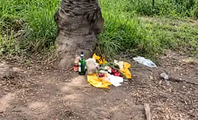 Hallaron objetos bajo un árbol de la Ruta 38 y nadie sabe de dónde salieron