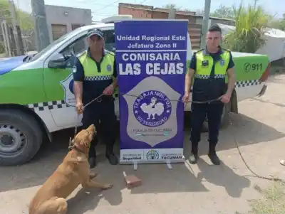 Cayó a un pozo de cuatro metros en una casa abandonada: la reacción de los vecinos fue clave
