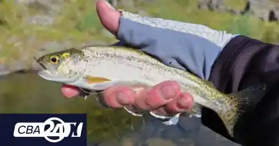 Pesca en Córdoba: tres especies ya se pueden buscar, pero con una condición que pocos aceptan
