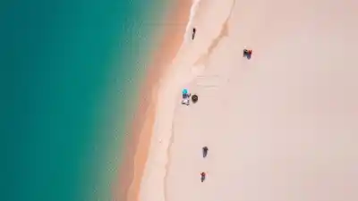 Un secreto patagónico que parece Caribe: aguas turquesas y fauna salvaje en una playa casi virgen