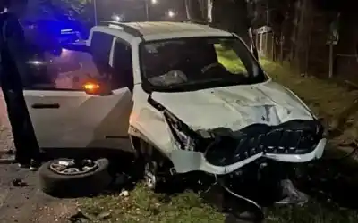 Manejaba a 140, se comió la loma de burro y terminó contra un poste: el audio que lo complica