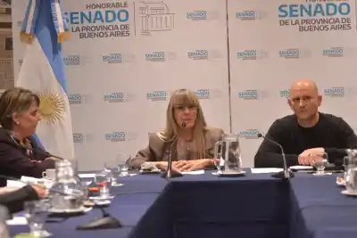 La ley que nació del caso Ema Bondaruk dio un paso clave en el Senado