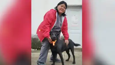 ¿Llevás a tu perro a la peregrinación de Río Blanco? La cinta naranja que lo puede salvar