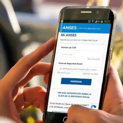 ANSES activa un buzón digital: quiénes pueden usarlo y qué cambia para los trámites