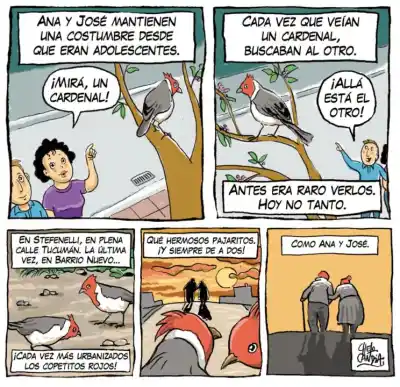 El regreso de Viajeros: el capítulo 667 de Chelo Candia que sorprende en el suple
