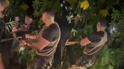 En medio de la correntada, un hombre se aferró a un árbol mientras su familia quedaba atrapada