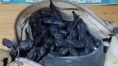 La fiambrería era la pantalla: cómo cayó la banda que vendía cocaína en un supermercado de Morón
