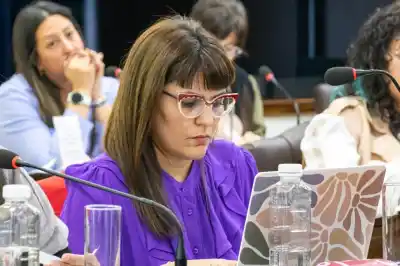 La Legislatura designó a las nuevas defensoras del Niño y una banca denunció que la elección "tenía nombres puestos"