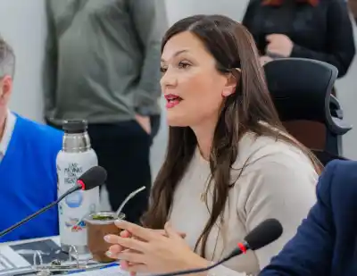 El Concejo de Río Grande pidió a Nación que no toque un beneficio clave en la factura de gas