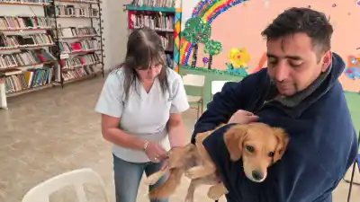 Santa Rosa vacunó gratis a cientos de mascotas: dónde seguirá la campaña