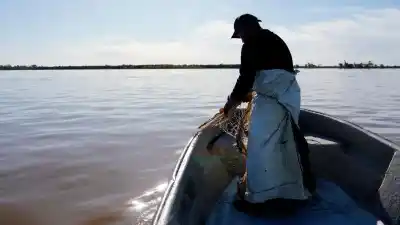 Un salmón patagónico nadó hasta el Paraná y un pescador lo sacó del agua: el documental que revela su historia