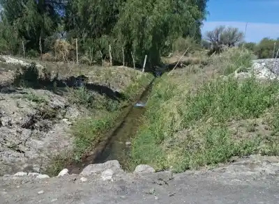 La autopsia de Noah reveló la causa de su muerte y el fiscal tomó una decisión clave