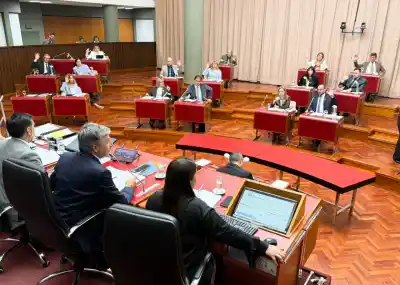 Camarones recupera la pesca: la Legislatura dio luz verde a un nuevo régimen para los permisos