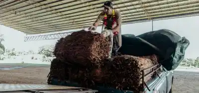 Los tabacaleros de Misiones apuran a Nación: hay $15.399 millones frenados