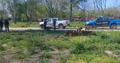 Vecinos de Villa Alba se plantaron en un terreno de 118 y 604: "Amenazaron de muerte a la gente estafada"
