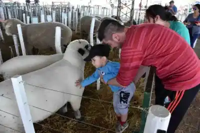 Villa Mercedes abre la Expo Rural: 200 stands, remates y una jineteada con $2 millones en juego
