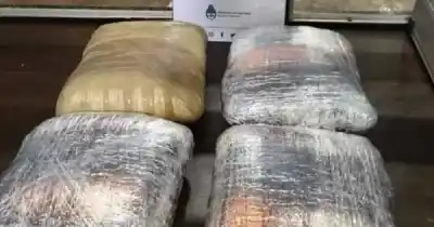 Un colectivo de larga distancia fue detenido en un control: lo que encontraron en el baño sorprendió a los agentes