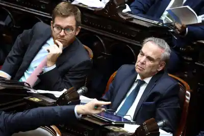 La oposición se planta contra la venta de campos a extranjeros: el plan que ya tiene fecha