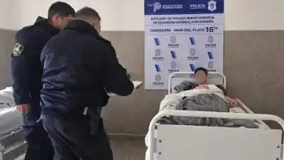 Quiso entrar por el techo a una distribuidora, pero el plan se le vino abajo en el peor momento