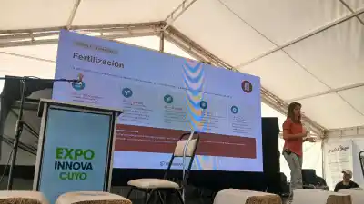 El pistacho sanjuanino no para de crecer, pero hay un enemigo invisible que puede voltear un contenedor entero