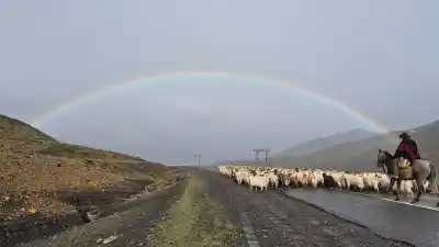 Un matrimonio neuquino frenó en la Ruta 43 y captó una postal única sobre la Cordillera del Viento