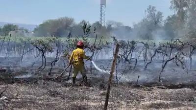 Un incendio de parrales alarmó a los vecinos del Club Estudiantil y hay una versión que complica a un sospechoso
