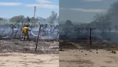 Se le escapó el fuego en pleno Zonda: lo que hallaron entre los parrales cerca de Estudiantil