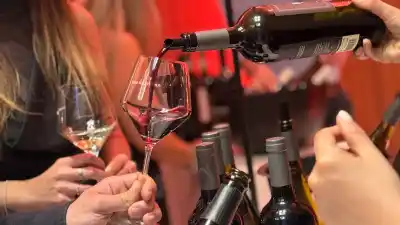 San Juan estrena su primera feria del vino: 45 bodegas coparon el Del Bono Park