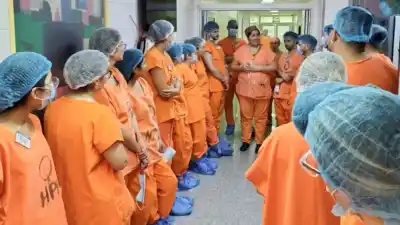 Neuquén sumó 27 médicos formados en casa: los destinos que sorprendieron a todos