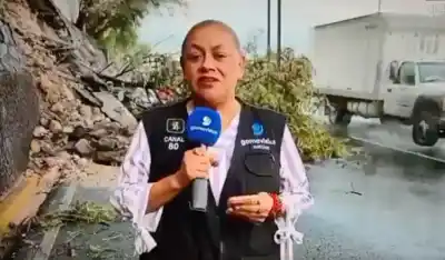 Atropellaron a una periodista y a su camarógrafo en plena cobertura: el mensaje que envió desde el hospital
