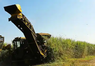 La zafra tucumana no frenó: cuánta caña ya entró a los ingenios