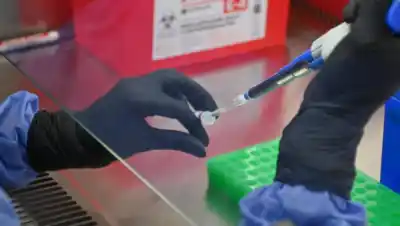 El test que detecta el hantavirus en 5 minutos y ya genera expectativa en Bariloche