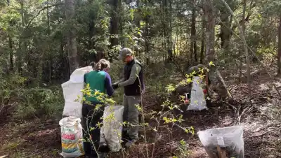 El bosque patagónico guarda un tesoro que revoluciona las chacras de El Bolsón