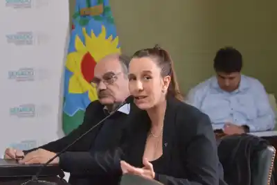 Senado bonaerense: el proyecto que define qué pasará con los chicos en hogares y familias cuidadoras