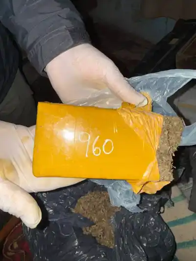 Cuatro allanamientos en Sauce: la Policía desbarató una red de narcomenudeo