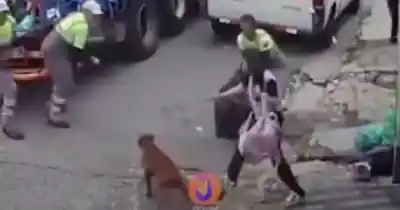 Un pitbull sin bozal atacó a un recolector en plena calle: la escena que reavivó la polémica en Salta