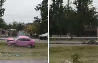 Un automóvil chocó contra un caballo en una avenida clave: lo que encontraron al llegar