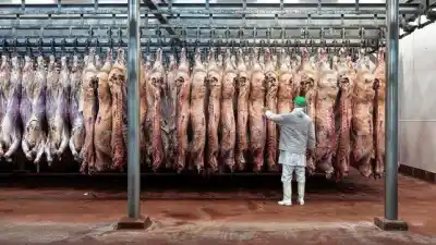 Entre Ríos tiene menos vacas que hace cinco años: el dato que cambió en los departamentos