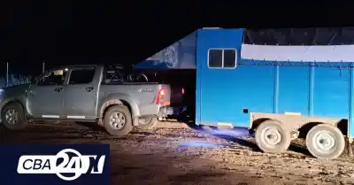 Llevaban ocho terneros en un tráiler por Córdoba y la Policía los frenó en Villa Huidobro