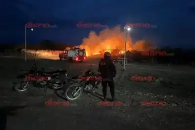 Tres focos en una noche: el fuego llegó a 200 metros de una casa en Santiago