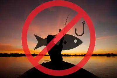La veda de pesca que cambia los planes en el río Uruguay: los días que sí se puede