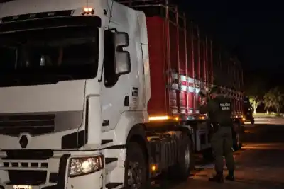 Multaron a una consignataria en Corrientes: la cifra que pagará por 102 vacunos sin un control clave
