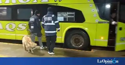 Control antidrogas en la terminal de San Julián: lo que saltó al cruzar 186 DNI los dejó helados