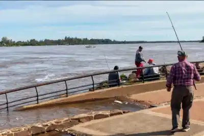 Concordia se prepara para lo que viene: el río Uruguay no da tregua y ya hay un número clave
