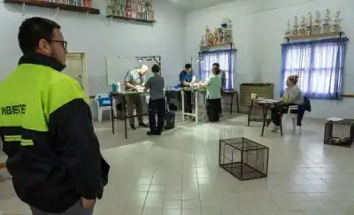 Rawson sumó un nuevo barrio al plan de castración gratuita: cuántas mascotas pasaron por el quirófano