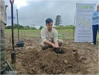 Formosa: productores paipperos se llevan plantines de mamón y una hoja de ruta para plantarlos