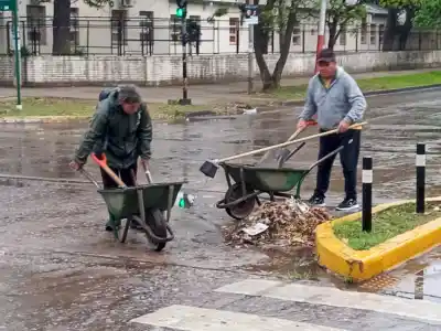 Ráfagas, un árbol caído y el operativo que Resistencia activó por la alerta amarilla