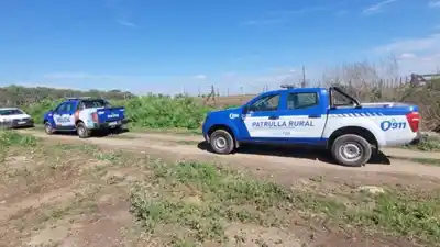Arrojaron piedras a un patrullero, se escondieron en un patio ajeno y terminaron detenidos