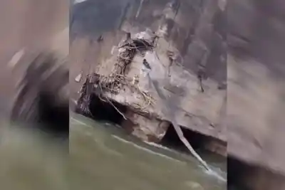 Un remolcador impactó contra el puente Chaco-Corrientes y cinco barcazas quedaron a la deriva