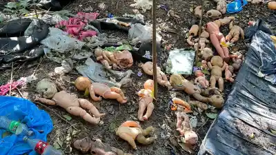 Fotos de nenas clavadas en los arbustos y muñecos de bebés: el sendero oculto que nadie logra explicar en Villa Gobernador Gálvez